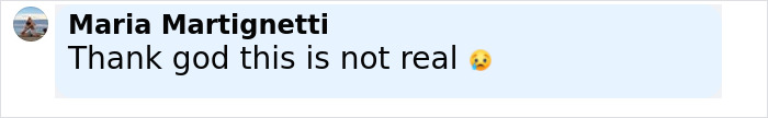 Comment expressing relief that situation involving dog meat farm owner receiving violent threats is not real. - 15