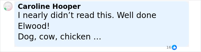 Screenshot of a social media comment discussing dog meat farm owner receiving violent threats after going viral. - 13