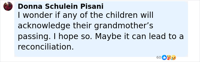 Comment by Donna Schulein Pisani expressing hope for children acknowledging their grandmother’s passing after Brad Pitt’s final message. Comment by Donna Schulein Pisani expressing hope for children acknowledging their grandmother’s passing after Brad Pitt’s final message.
