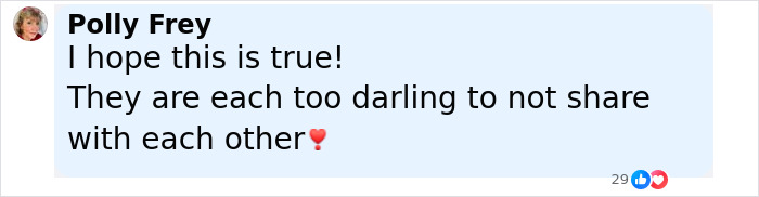 Comment from Liam Neeson’s late wife’s sister expressing hope about his rumored romance with Pamela Anderson. - 18