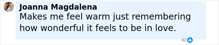 Screenshot of a social media comment reacting to Liam Neeson's rumored romance with Pamela Anderson. - 15