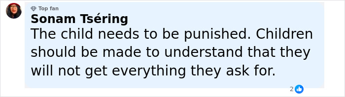 Comment by Sonam Ts&eacute;ring expressing that the child should be punished to understand limits, related to angry boy breaking glass ceiling.