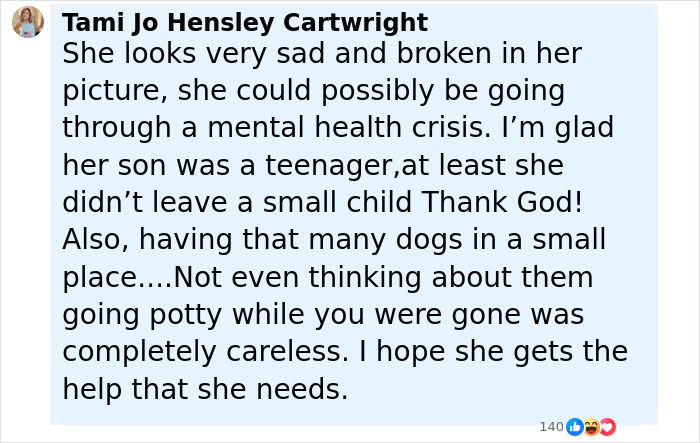 Comment from Tami Jo Hensley Cartwright expressing concern about Florida mother abandoning child and seven dogs during vacation.