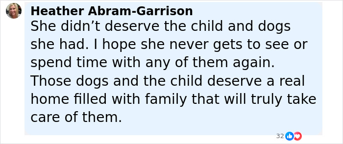 Comment expressing outrage at Florida mother who abandoned child and seven dogs during Vegas vacation.