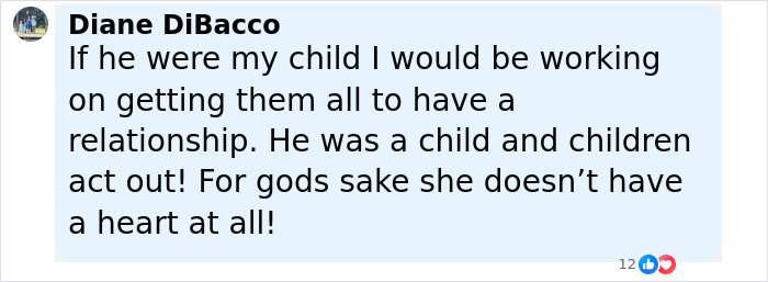 Facebook comment expressing concern about child relationships and emotions in the Kate and Jon Gosselin family situation.