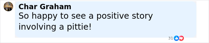 Comment from Char Graham expressing happiness about a positive story involving a dog barking at a stranger to follow him. - 12