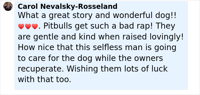 Comment praising a dog that barks at a stranger to follow him, highlighting the dog's kindness and the man's care during recovery. - 16