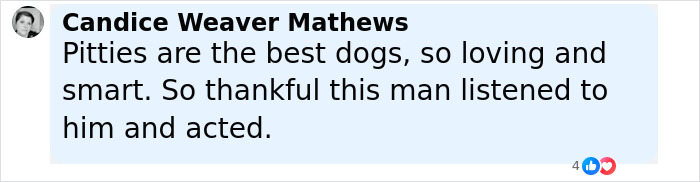 Comment from Candice Weaver Mathews praising the intelligence of a dog that convinced a man to help two people in need. - 11