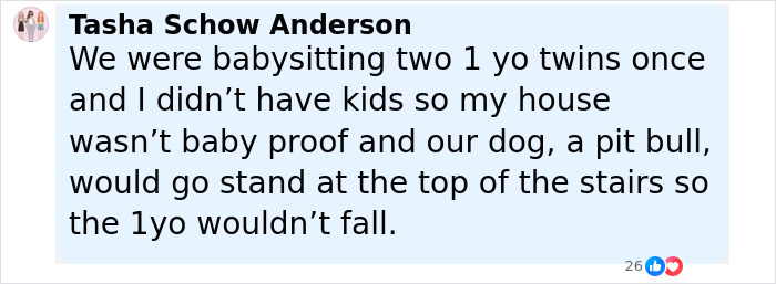 Screenshot of a social media post describing a pit bull dog guarding stairs to protect toddlers from falling. - 7