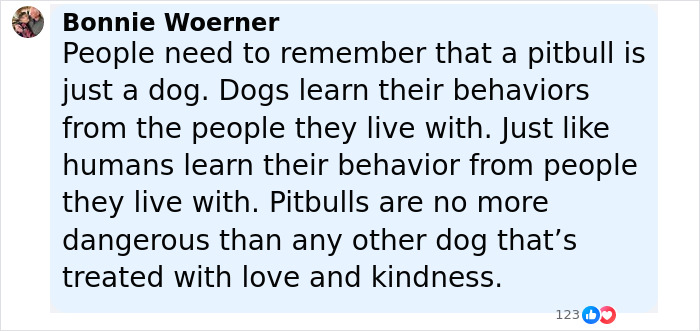 Comment about pitbull behavior emphasizing dogs learn from their owners, highlighting love and kindness in training dogs. - 6