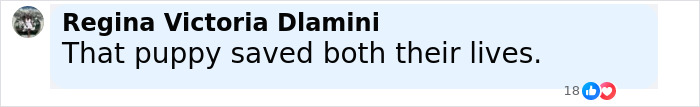 Comment on social media praising a dog that barks at a stranger and leads him to two people in dire need of help. - 13