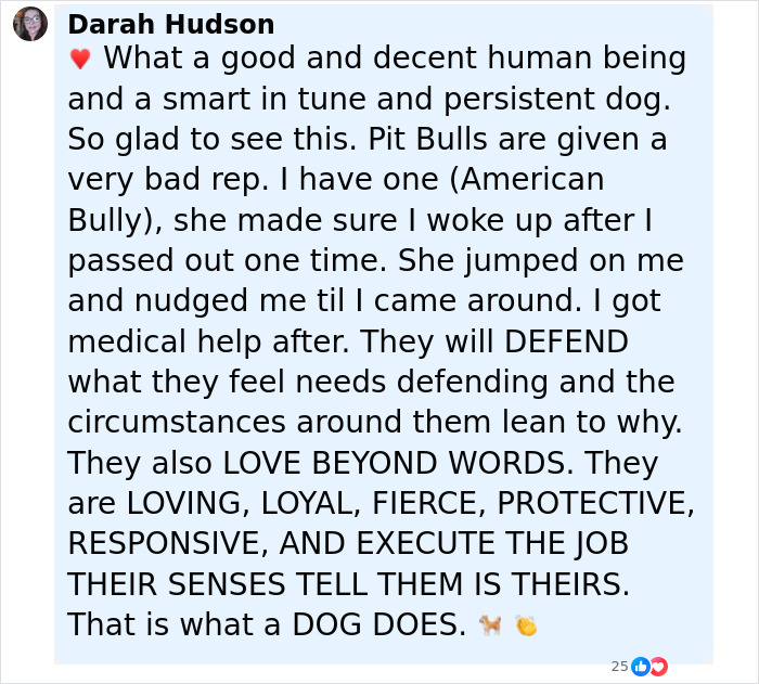 Comment praising a smart and loyal dog for alerting and protecting people, highlighting dog behavior and protection instincts. - 8