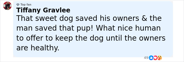 Comment praising a dog that barks at a stranger to help lead him to two people in need, highlighting the dog's loyalty and human kindness. - 10