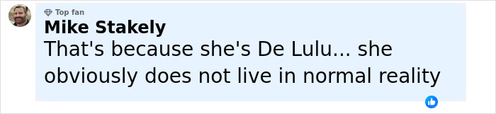 Comment from a top fan Mike Stakely discussing Britney Spears' mental health concerns and perception of reality.