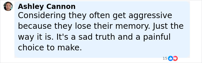 Comment from Ashley Cannon discussing challenges faced by Bruce Willis's wife during his dementia battle and their living situation.
