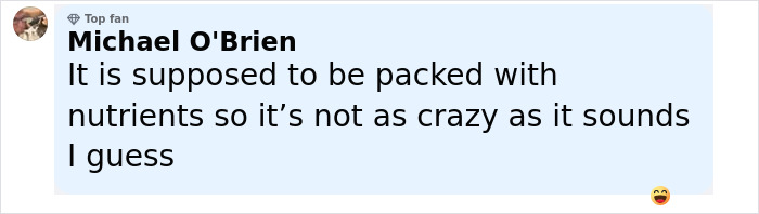 Comment from Michael O'Brien explaining placenta encapsulation is nutrient-packed and not as crazy as it sounds. - 22
