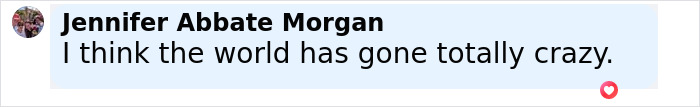 Comment by Jennifer Abbate Morgan saying she thinks the world has gone totally crazy, expressing disbelief. - 27