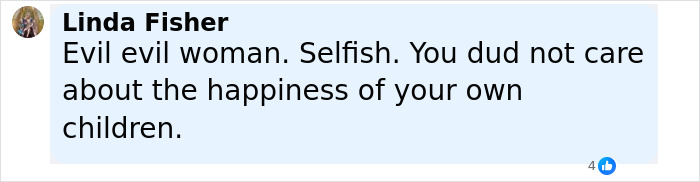 Comment on social media by Linda Fisher criticizing a depressed mom involved in a tragic family incident.
