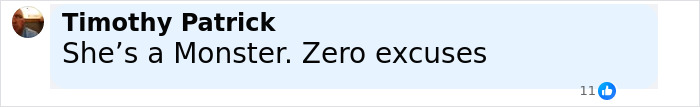 Comment saying she's a monster with zero excuses in response to a story about a depressed mom ending life of her family after posting on TikTok.