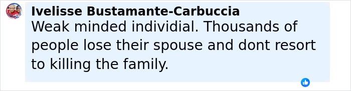 Comment on social media reacting to a depressed mom ending life of her family after posting grim TikTok.