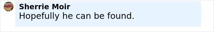 Comment on social media post expressing hope for missing hiker found with belongings and dog after dream trip.