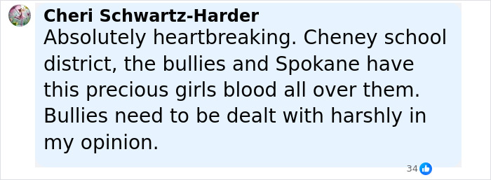 Facebook comment by Cheri Schwartz-Harder expressing heartbreak over bullying and its impact on a 12-year-old patient.