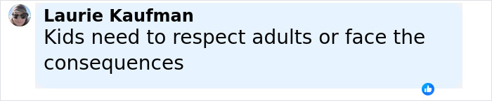 Comment from Laurie Kaufman stating kids need to respect adults or face consequences related to video of 13-year-old arrested at McDonald's.