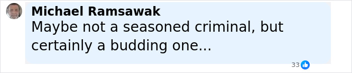Facebook comment by Michael Ramsawak reacting to video of 13-year-old arrested at McDonald's sparking widespread outrage.