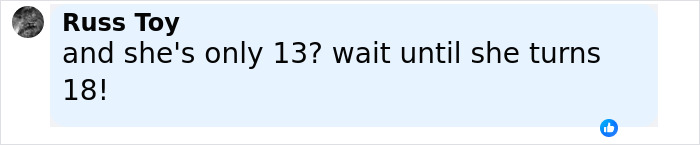 Comment mentioning a 13-year-old related to video of arrest at McDonald's causing widespread outrage online.