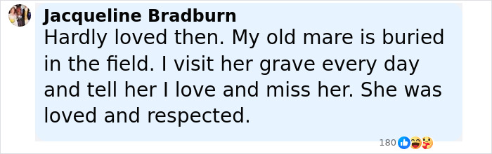 Comment from Jacqueline Bradburn explaining love and respect for her old mare, related to donating daughter's pony to zoo lions.