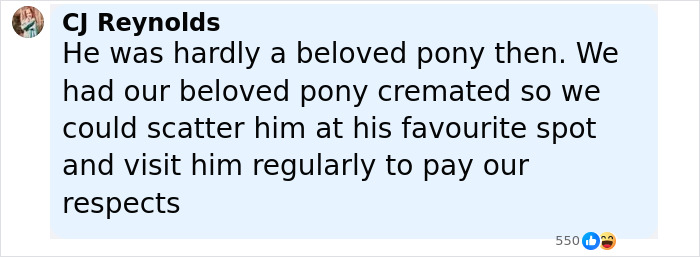 Comment text explaining why woman donated her daughter&rsquo;s pony to zoo for lions, addressing public outrage.