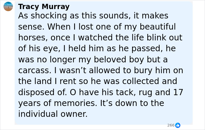 Comment explaining why woman donated her daughter&rsquo;s pony to zoo, reflecting on emotional impact and owner decisions.