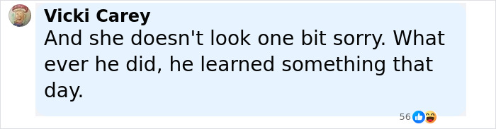 Screenshot of a Facebook comment by Vicki Carey reacting to a story about a woman damaging her ex's car.