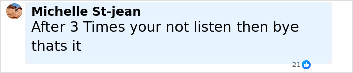 A social media comment criticizing rude behavior that led to Sean Diddy's twin daughters being kicked off a rollercoaster.