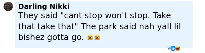 Comment about Sean Diddy's twin daughters kicked off rollercoaster for rude behavior with crying emojis.