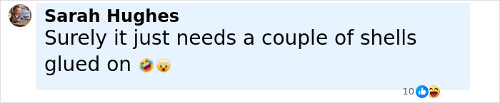 Comment by Sarah Hughes suggesting the mermaid statue just needs a couple of shells glued on amid demolition debate. - 30