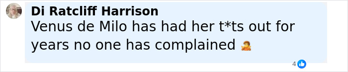 Comment on social media discussing criticism of a famous mermaid statue as a man's hot dream of the female body. - 16