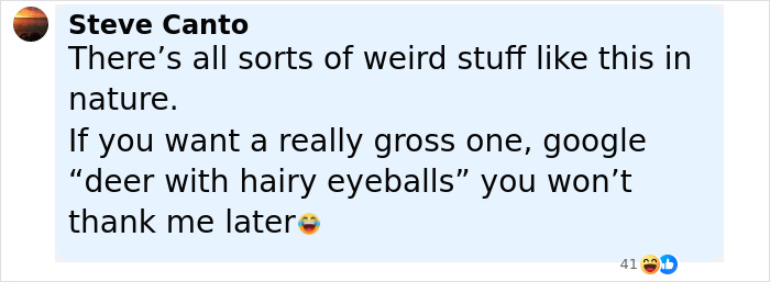 &lsquo;Frankenstein&rsquo; Rabbits Spreading In The US Due To Rare Virus Spark Frenzy As Experts Issue Urgent Warning