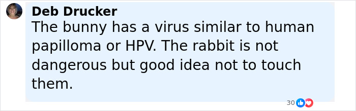 &lsquo;Frankenstein&rsquo; Rabbits Spreading In The US Due To Rare Virus Spark Frenzy As Experts Issue Urgent Warning