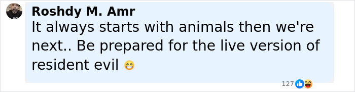 Comment text by Roshdy M. Amr warning about animal outbreaks, referencing mutant deer with flesh bubbles and resident evil.