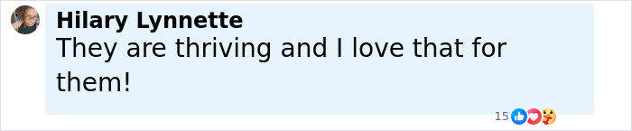 Social media comment praising conjoined twins Abby and Brittany Hensel thriving and being seen with a newborn baby. Social media comment praising conjoined twins Abby and Brittany Hensel thriving and being seen with a newborn baby.