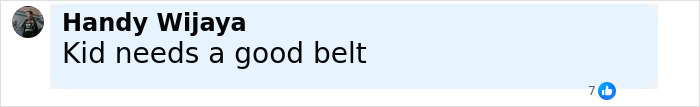 Comment saying kid needs a good belt, referencing an angry boy breaking expensive glass ceiling and chandelier over a Labubu doll.