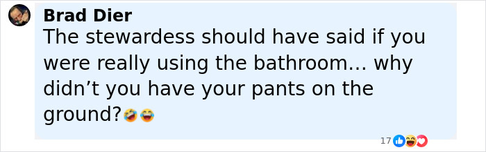 Comment about man caught vaping on plane, referencing a flight attendant and a bizarre excuse during an in-flight dispute.