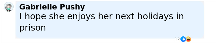 Text message commenting on a Florida mother who abandons her child and seven dogs for two weeks while on vacation.