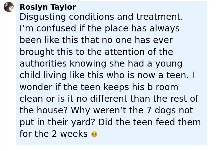 Comment expressing concern over Florida mother abandoning child and seven dogs for two weeks during Las Vegas vacation.