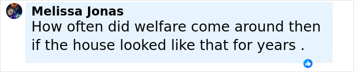 Comment by Melissa Jonas questioning the frequency of welfare visits to a neglected Florida home with abandoned child and dogs.