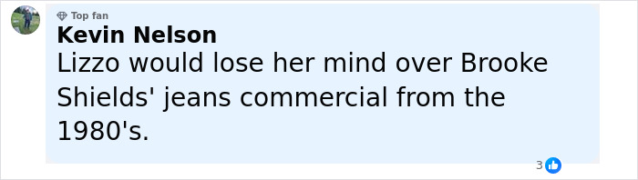 Screenshot of a social media comment discussing Lizzo’s parody response to the Sydney Sweeney ad controversy. - 7