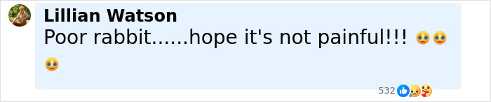 &lsquo;Frankenstein&rsquo; Rabbits Spreading In The US Due To Rare Virus Spark Frenzy As Experts Issue Urgent Warning