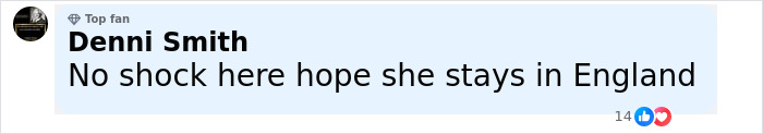 Screenshot of a social media comment reacting to Ellen DeGeneres bullying controversy with 14 likes and emojis. Screenshot of a social media comment reacting to Ellen DeGeneres bullying controversy with 14 likes and emojis.