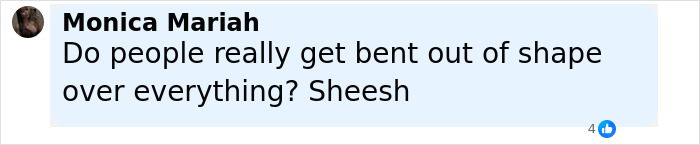 Screenshot of a social media comment discussing public reactions related to Birds Of A Feather controversy.